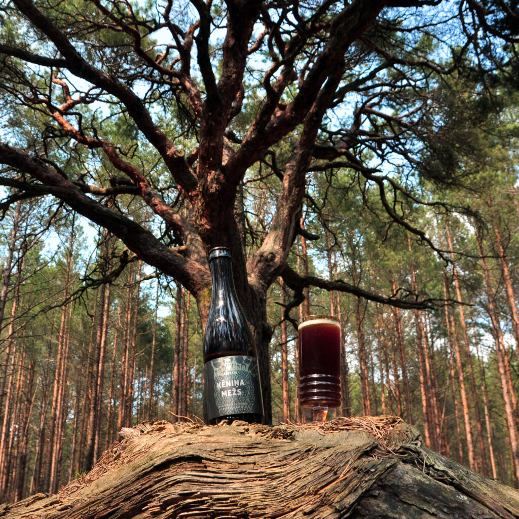 kenina_mezs_gin_barrel_aged_juniper_red_ale