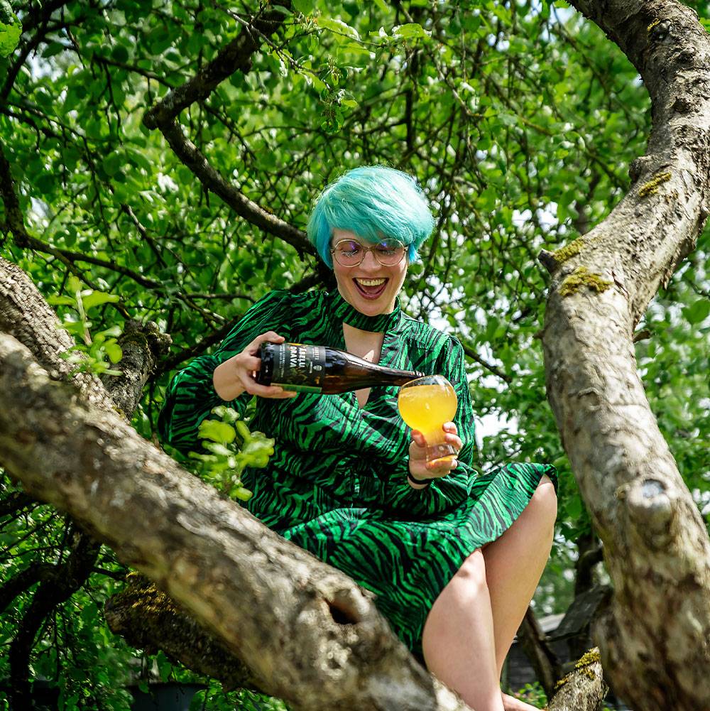 Abelu_drava_apple_beer