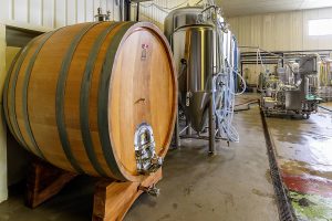 Muca_audzis_pa_spundi_barots